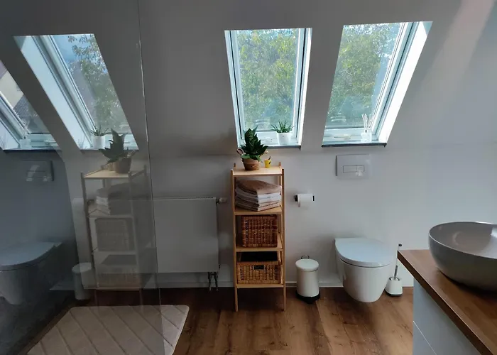 In Дом отдыха